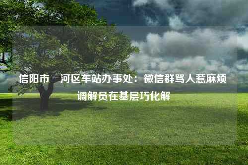 信阳市浉河区车站办事处：微信群骂人惹麻烦 调解员在基层巧化解