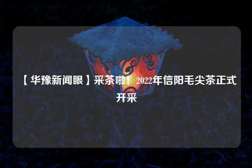 【华豫新闻眼】采茶啦！2022年信阳毛尖茶正式开采