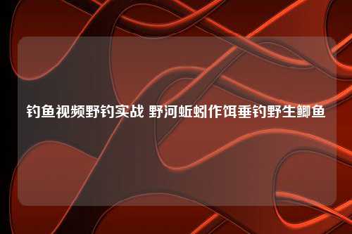 钓鱼视频野钓实战 野河蚯蚓作饵垂钓野生鲫鱼