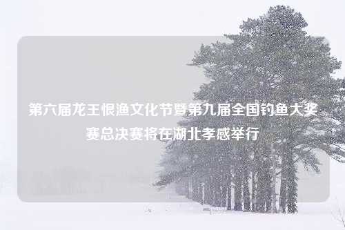 第六届龙王恨渔文化节暨第九届全国钓鱼大奖赛总决赛将在湖北孝感举行