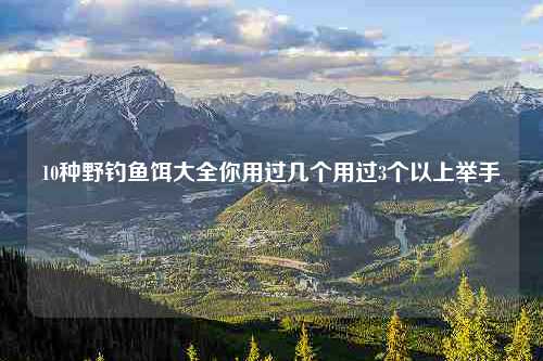 10种野钓鱼饵大全你用过几个用过3个以上举手