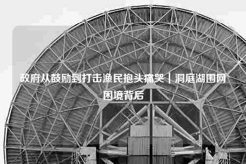 政府从鼓励到打击渔民抱头痛哭｜洞庭湖围网困境背后