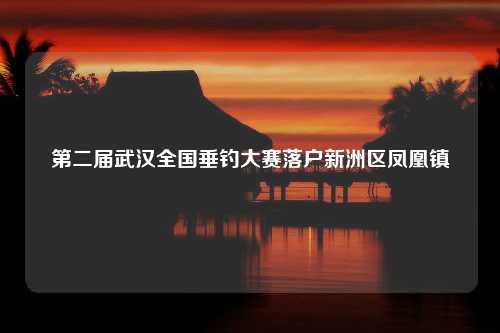 第二届武汉全国垂钓大赛落户新洲区凤凰镇