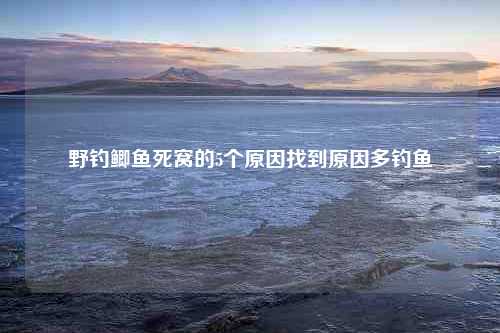 野钓鲫鱼死窝的5个原因找到原因多钓鱼