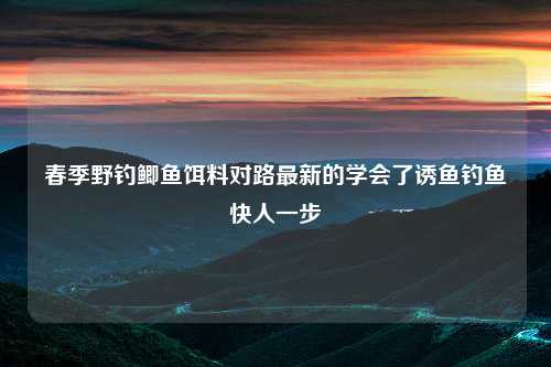 春季野钓鲫鱼饵料对路最新的学会了诱鱼钓鱼快人一步