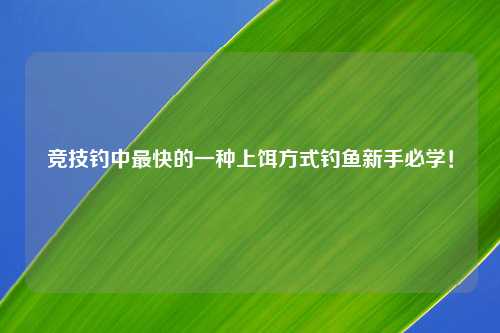 竞技钓中最快的一种上饵方式钓鱼新手必学！