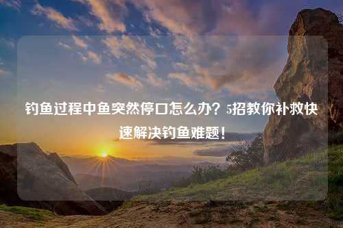 钓鱼过程中鱼突然停口怎么办？5招教你补救快速解决钓鱼难题！