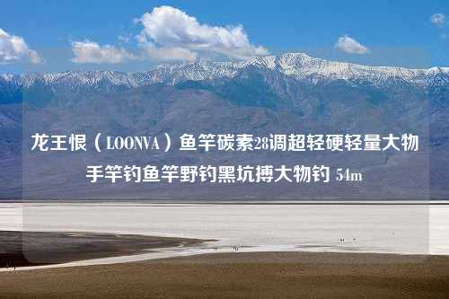 龙王恨（LOONVA）鱼竿碳素28调超轻硬轻量大物手竿钓鱼竿野钓黑坑搏大物钓 54m