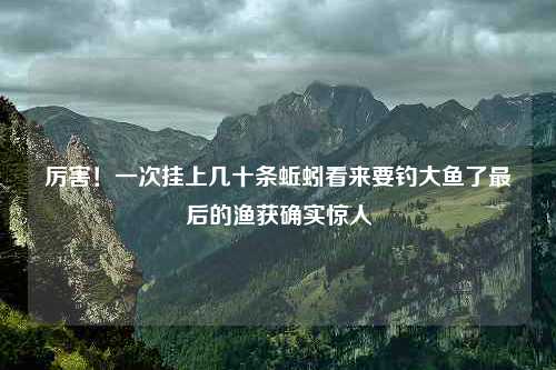 厉害！一次挂上几十条蚯蚓看来要钓大鱼了最后的渔获确实惊人