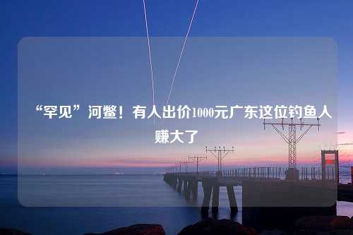 “罕见”河鳖！有人出价1000元广东这位钓鱼人赚大了