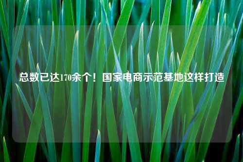 总数已达170余个！国家电商示范基地这样打造