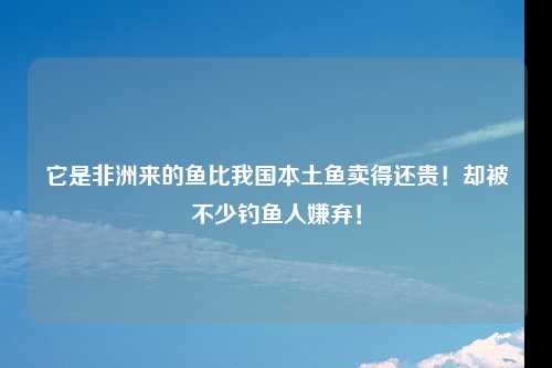 它是非洲来的鱼比我国本土鱼卖得还贵！却被不少钓鱼人嫌弃！