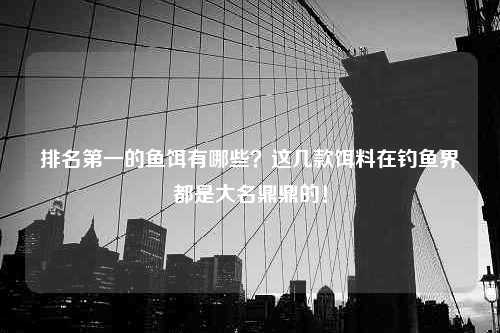 排名第一的鱼饵有哪些？这几款饵料在钓鱼界都是大名鼎鼎的！