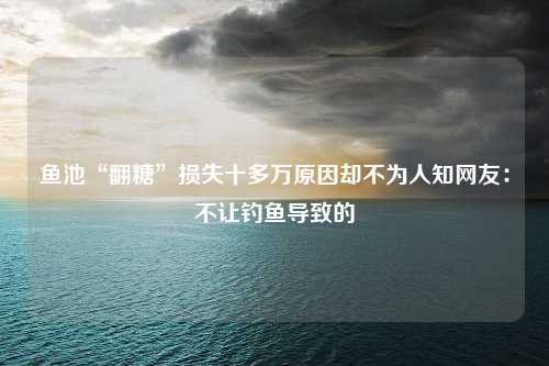 鱼池“翻糖”损失十多万原因却不为人知网友：不让钓鱼导致的