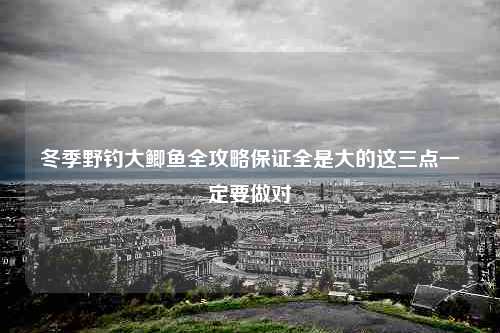 冬季野钓大鲫鱼全攻略保证全是大的这三点一定要做对