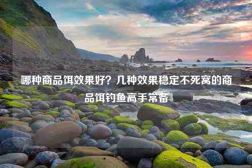 哪种商品饵效果好？几种效果稳定不死窝的商品饵钓鱼高手常备