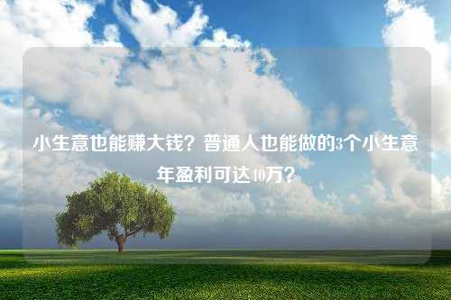 小生意也能赚大钱？普通人也能做的3个小生意年盈利可达40万？