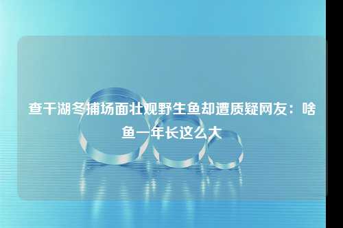 查干湖冬捕场面壮观野生鱼却遭质疑网友：啥鱼一年长这么大