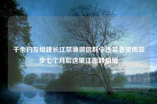 千余钓友组建长江禁渔微信群令违禁者望而却步七个月后这里江面静悄悄