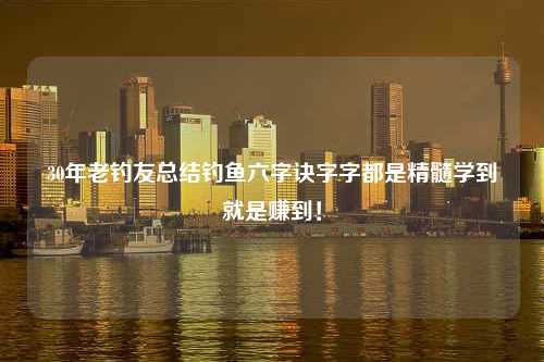 30年老钓友总结钓鱼六字诀字字都是精髓学到就是赚到！