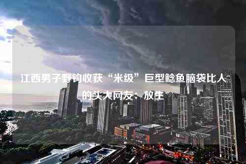 江西男子野钓收获“米级”巨型鲶鱼脑袋比人的头大网友：放生