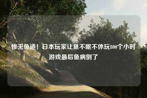 惨无鱼道！日本玩家让鱼不眠不休玩800个小时游戏最后鱼病倒了