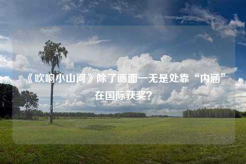 《吹响小山河》除了画面一无是处靠“内涵”在国际获奖？