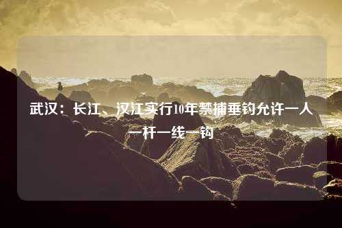 武汉：长江、汉江实行10年禁捕垂钓允许一人一杆一线一钩