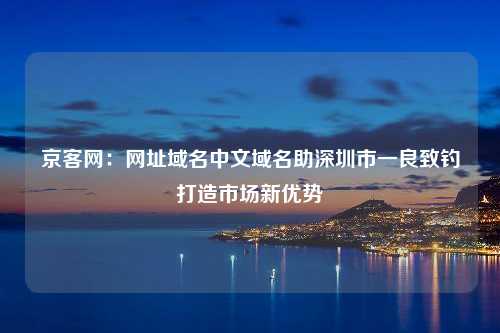 京客网：网址域名中文域名助深圳市一良致钓打造市场新优势