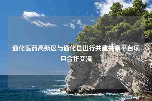 通化医药高新区与通化县进行共建共享平台项目合作交流