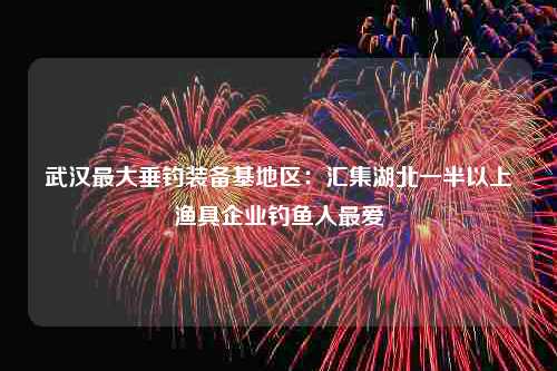 武汉最大垂钓装备基地区：汇集湖北一半以上渔具企业钓鱼人最爱