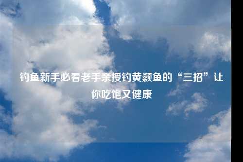 钓鱼新手必看老手亲授钓黄颡鱼的“三招”让你吃饱又健康