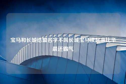 宝马和长城结盟名字不叫长城宝马读起来比华晨还霸气