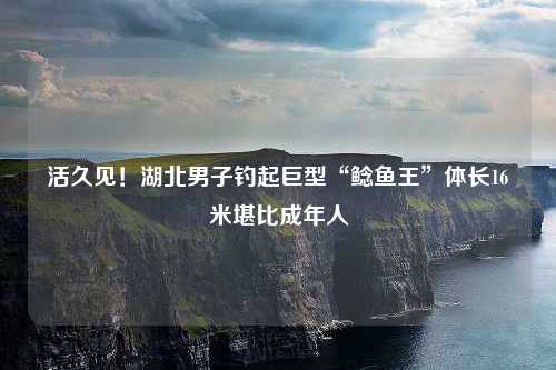 活久见！湖北男子钓起巨型“鲶鱼王”体长16米堪比成年人