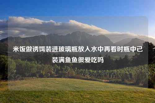 米饭做诱饵装进玻璃瓶放入水中再看时瓶中已装满鱼鱼很爱吃吗