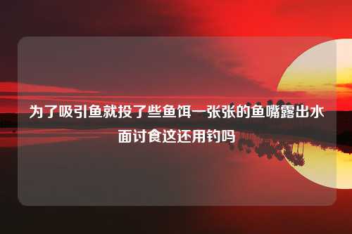 为了吸引鱼就投了些鱼饵一张张的鱼嘴露出水面讨食这还用钓吗