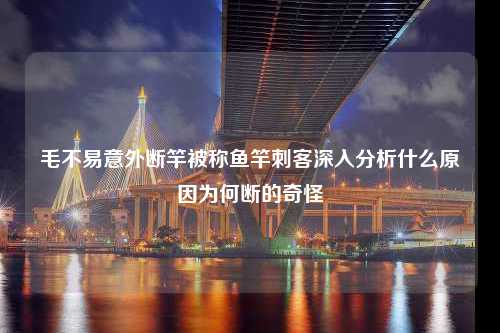 毛不易意外断竿被称鱼竿刺客深入分析什么原因为何断的奇怪