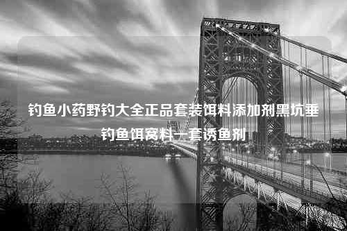 钓鱼小药野钓大全正品套装饵料添加剂黑坑垂钓鱼饵窝料一套诱鱼剂