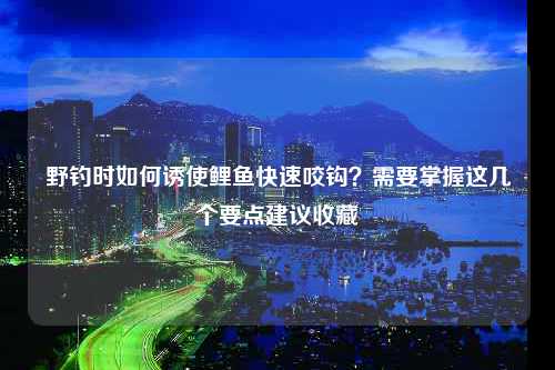 野钓时如何诱使鲤鱼快速咬钩？需要掌握这几个要点建议收藏