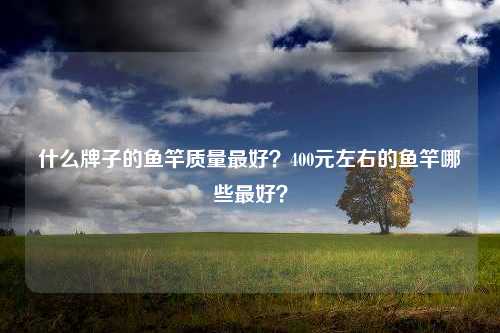 什么牌子的鱼竿质量最好？400元左右的鱼竿哪些最好？