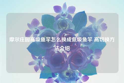 摩尔庄园高级鱼竿怎么换成低级鱼竿 高切换方法介绍