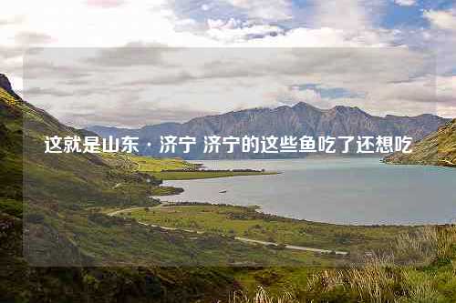 这就是山东·济宁 济宁的这些鱼吃了还想吃