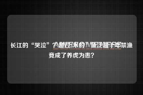 长江的“哭泣”？超过2米的鱤鱼泛滥十年禁渔竟成了养虎为患？