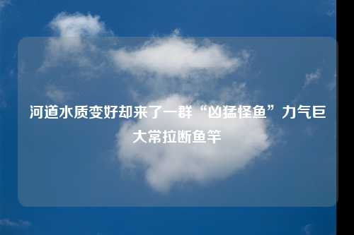 河道水质变好却来了一群“凶猛怪鱼”力气巨大常拉断鱼竿