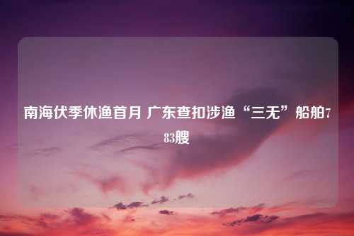 南海伏季休渔首月 广东查扣涉渔“三无”船舶783艘