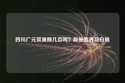 四川广元禁渔期几百吨？原是暂养花白鲢