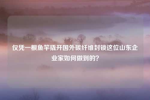 仅凭一根鱼竿撬开国外碳纤维封锁这位山东企业家如何做到的？