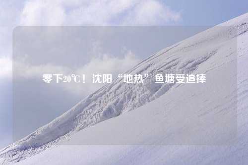 零下20℃！沈阳“地热”鱼塘受追捧