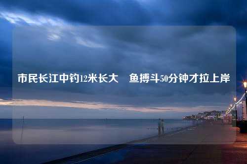 市民长江中钓12米长大鳡鱼搏斗50分钟才拉上岸