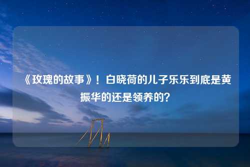 《玫瑰的故事》！白晓荷的儿子乐乐到底是黄振华的还是领养的？